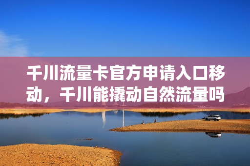 千川流量卡官方申请入口移动，千川能撬动自然流量吗(千川没流量)