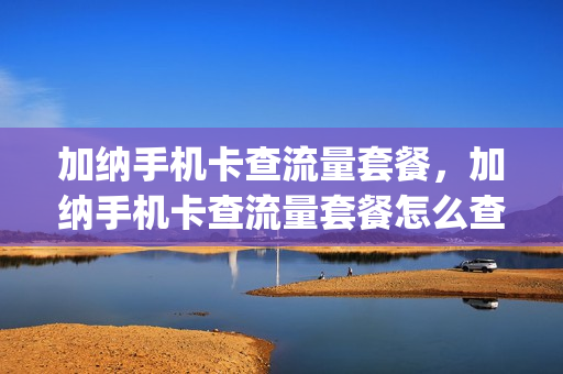 加纳手机卡查流量套餐，加纳手机卡查流量套餐怎么查询(加纳电话卡)