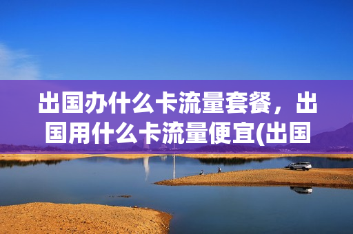 出国办什么卡流量套餐，出国用什么卡流量便宜(出国用什么电话卡最划算)