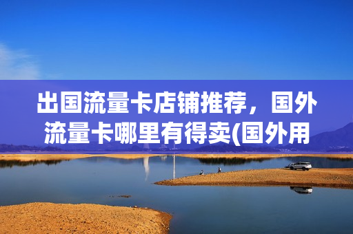出国流量卡店铺推荐，国外流量卡哪里有得卖(国外用流量办什么卡合适)