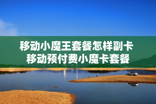 移动小魔王套餐怎样副卡 移动预付费小魔卡套餐