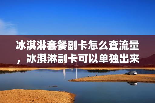 冰淇淋套餐副卡怎么查流量，冰淇淋副卡可以单独出来吗(冰淇淋套餐副卡怎么收费)