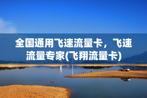 全国通用飞速流量卡，飞速流量专家(飞翔流量卡)