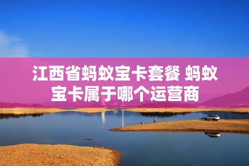 江西省蚂蚁宝卡套餐 蚂蚁宝卡属于哪个运营商