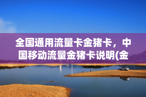 全国通用流量卡金猪卡，中国移动流量金猪卡说明(金猪物联流量卡)