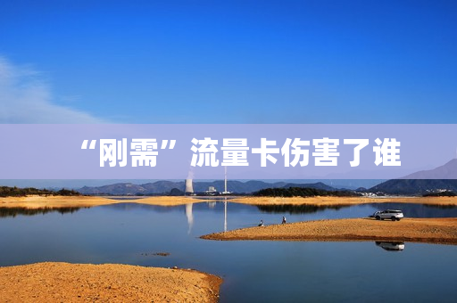 “刚需”流量卡伤害了谁