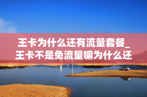 王卡为什么还有流量套餐_王卡不是免流量嘛为什么还四十个g