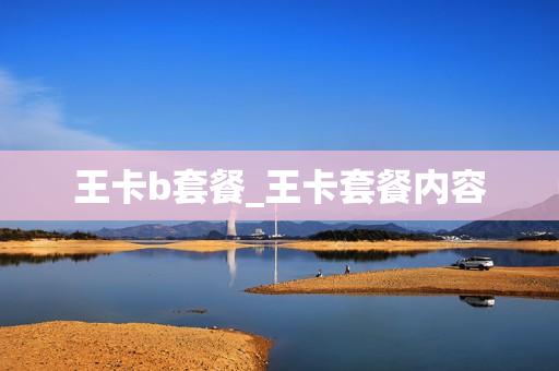 王卡b套餐_王卡套餐内容