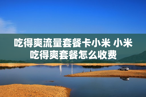 吃得爽流量套餐卡小米 小米吃得爽套餐怎么收费