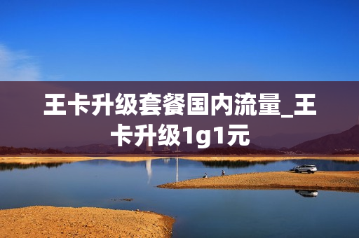 王卡升级套餐国内流量_王卡升级1g1元