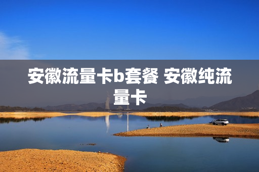 安徽流量卡b套餐 安徽纯流量卡