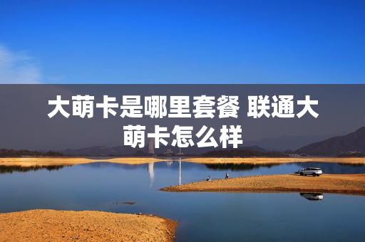 大萌卡是哪里套餐 联通大萌卡怎么样