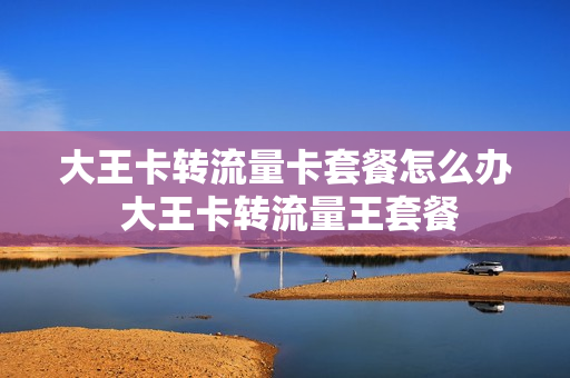 大王卡转流量卡套餐怎么办 大王卡转流量王套餐