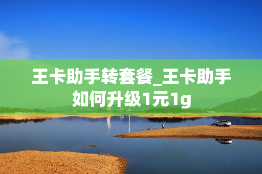 王卡助手转套餐_王卡助手如何升级1元1g