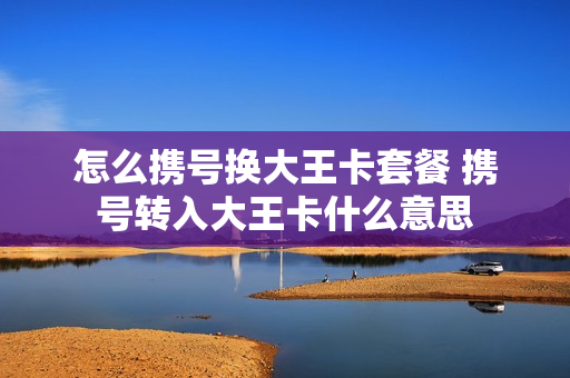 怎么携号换大王卡套餐 携号转入大王卡什么意思