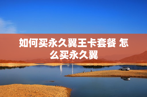 如何买永久翼王卡套餐 怎么买永久翼