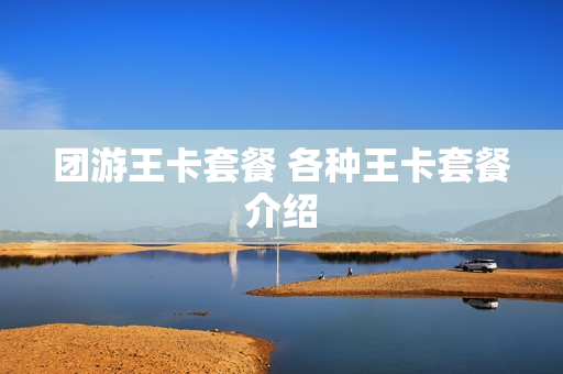 团游王卡套餐 各种王卡套餐介绍