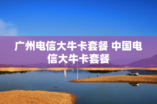 广州电信大牛卡套餐 中国电信大牛卡套餐