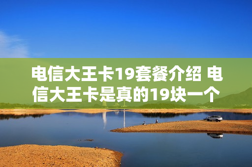 电信大王卡19套餐介绍 电信大王卡是真的19块一个月吗?