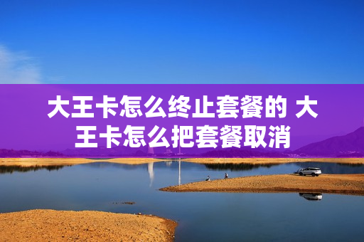 大王卡怎么终止套餐的 大王卡怎么把套餐取消