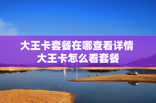 大王卡套餐在哪查看详情 大王卡怎么看套餐