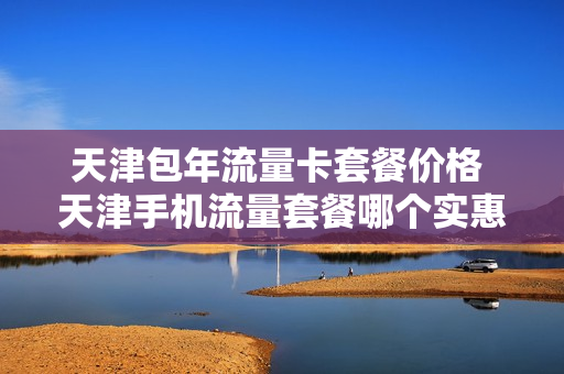 天津包年流量卡套餐价格 天津手机流量套餐哪个实惠