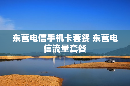 东营电信手机卡套餐 东营电信流量套餐
