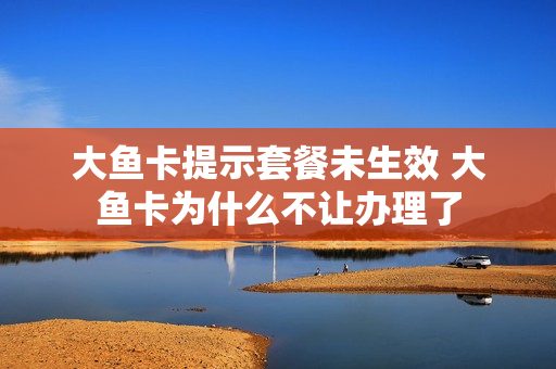 大鱼卡提示套餐未生效 大鱼卡为什么不让办理了