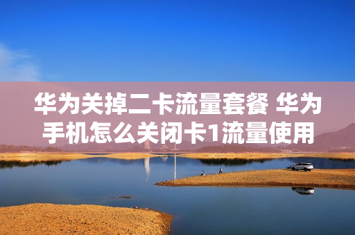华为关掉二卡流量套餐 华为手机怎么关闭卡1流量使用卡2流量