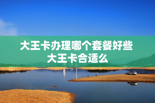 大王卡办理哪个套餐好些 大王卡合适么