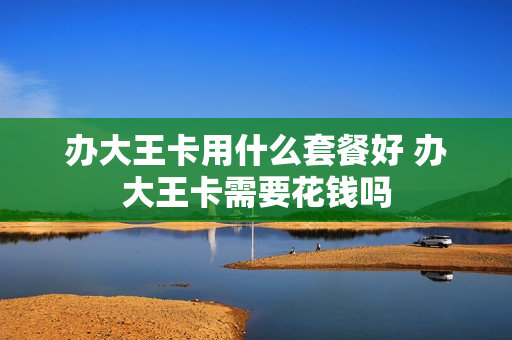 办大王卡用什么套餐好 办大王卡需要花钱吗