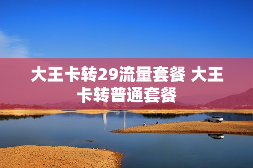 大王卡转29流量套餐 大王卡转普通套餐