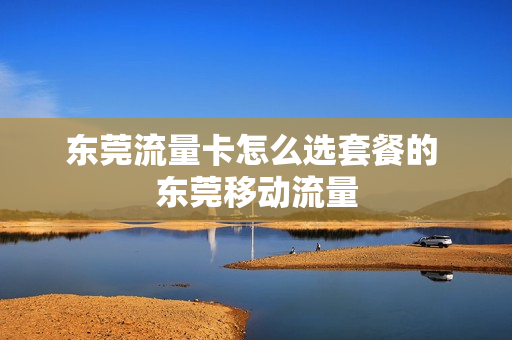 东莞流量卡怎么选套餐的 东莞移动流量