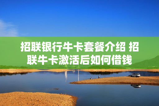 招联银行牛卡套餐介绍 招联牛卡激活后如何借钱