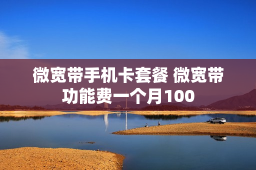 微宽带手机卡套餐 微宽带功能费一个月100