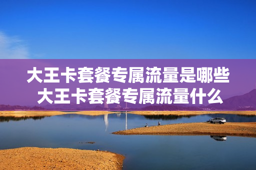 大王卡套餐专属流量是哪些 大王卡套餐专属流量什么意思
