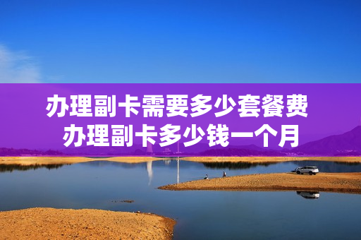 办理副卡需要多少套餐费 办理副卡多少钱一个月