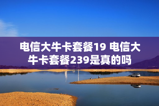 电信大牛卡套餐19 电信大牛卡套餐239是真的吗