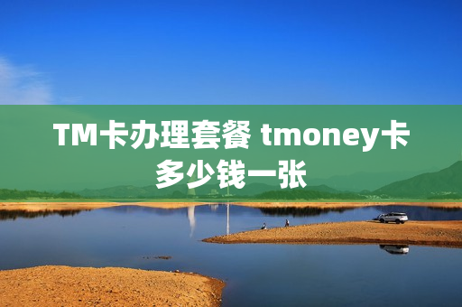 TM卡办理套餐 tmoney卡多少钱一张