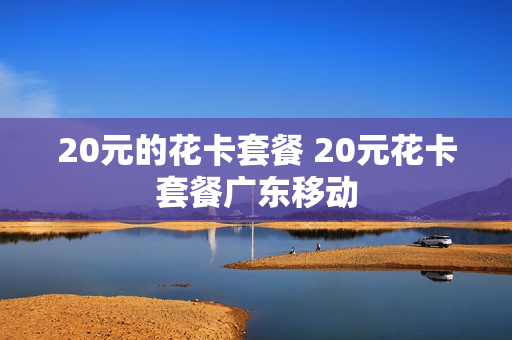 20元的花卡套餐 20元花卡套餐广东移动