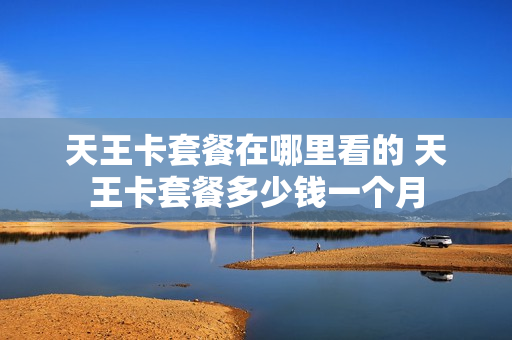 天王卡套餐在哪里看的 天王卡套餐多少钱一个月