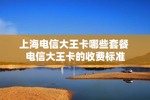 上海电信大王卡哪些套餐 电信大王卡的收费标准