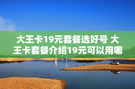 大王卡19元套餐选好号 大王卡套餐介绍19元可以用哪些软件