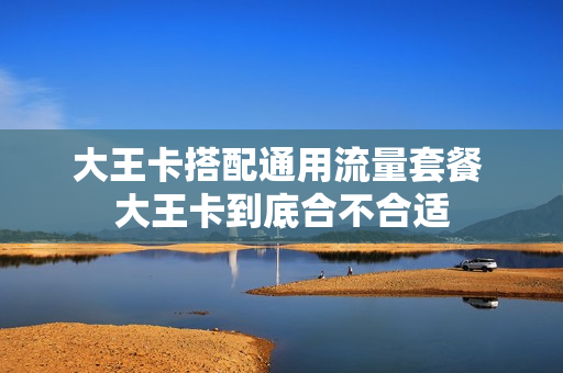 大王卡搭配通用流量套餐 大王卡到底合不合适