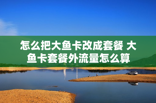 怎么把大鱼卡改成套餐 大鱼卡套餐外流量怎么算