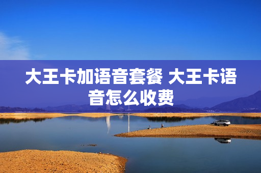 大王卡加语音套餐 大王卡语音怎么收费