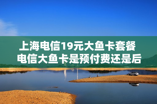 上海电信19元大鱼卡套餐 电信大鱼卡是预付费还是后付费