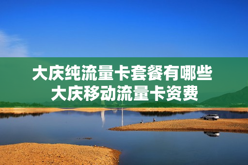 大庆纯流量卡套餐有哪些 大庆移动流量卡资费