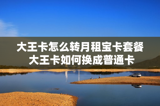 大王卡怎么转月租宝卡套餐 大王卡如何换成普通卡