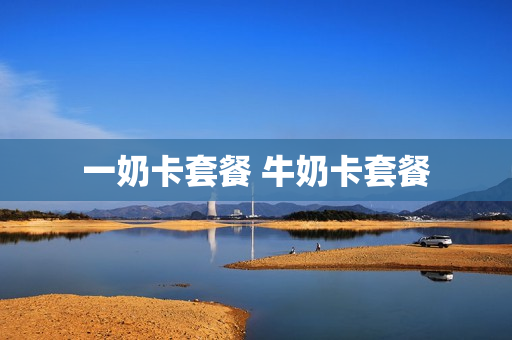 一奶卡套餐 牛奶卡套餐